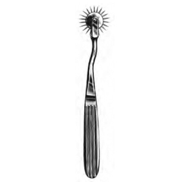 Wartenberg naaldenrad 30mm 18cm lang