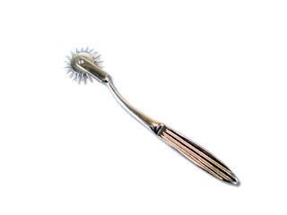 Wartenberg naaldenrad 30mm 18cm lang